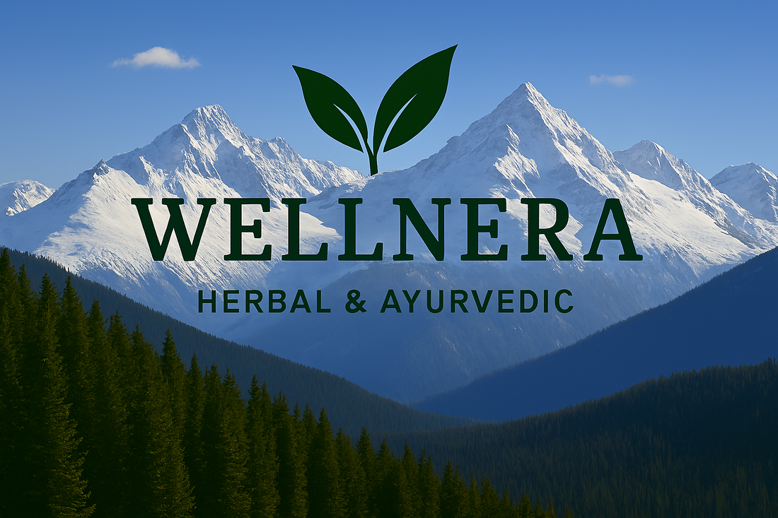 Ling Mota Kaise Kare? प्राकृतिक और असरदार उपाय